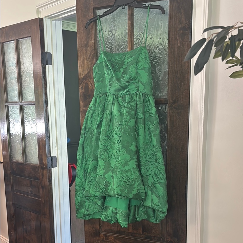 Elegant Green Anthropologie Dress